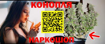 крисы Лесосибирск