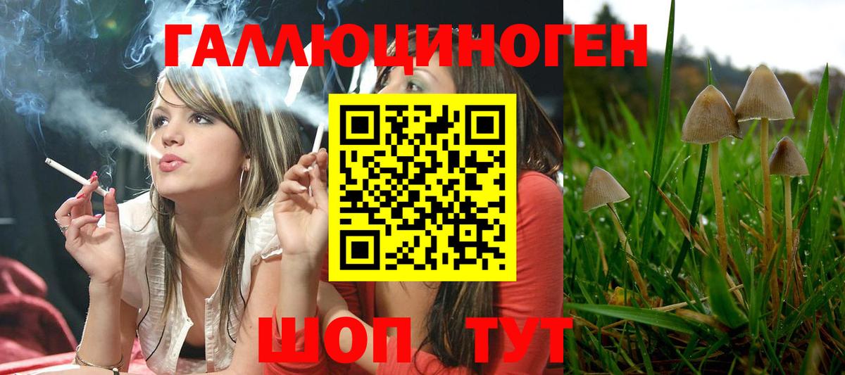 Псилоцибиновые грибы Psilocybine cubensis Ишимбай